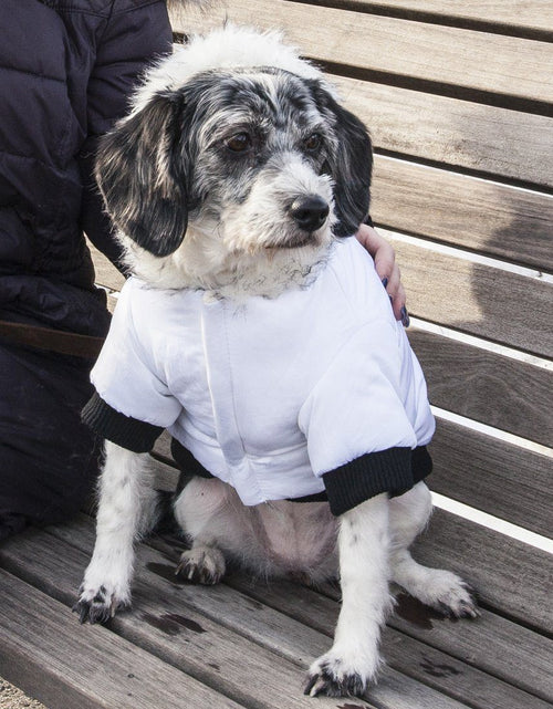 Load image into Gallery viewer, Pet Life ® Aspen Winter-White 3M Insulated Fashion Pet Parka Dog Coat
