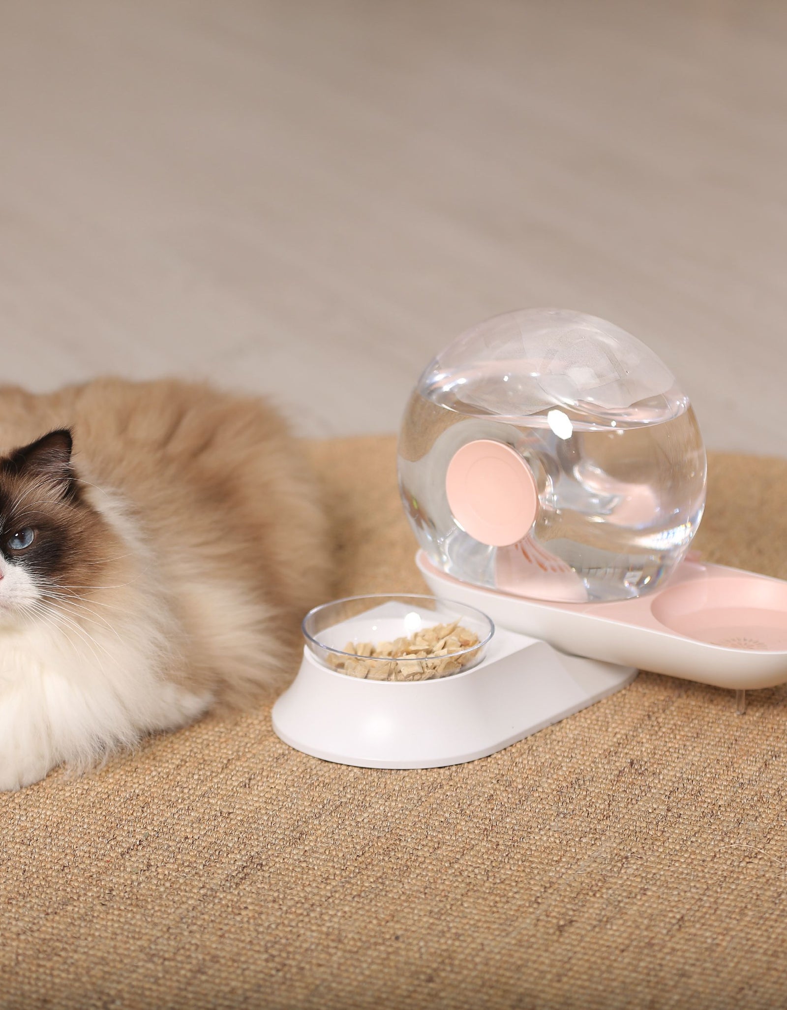 Pet Life ® 'Auto-Myst' Snail Shaped 2-in-1 Automated Gravity Pet Filtered Water Dispenser and Food Bowl