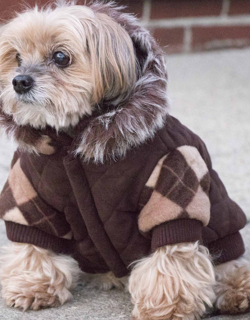 Load image into Gallery viewer, Pet Life ® 'Aygyle Style' 3M Insulated Designer Patterned Suede Dog Coat w/ Removable Hood
