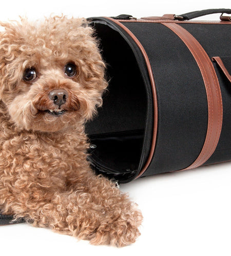 Pet Life ® 'Bark Avenue' Cylindrical Airline Approved Fashion Designer Posh Pet Dog Carrier