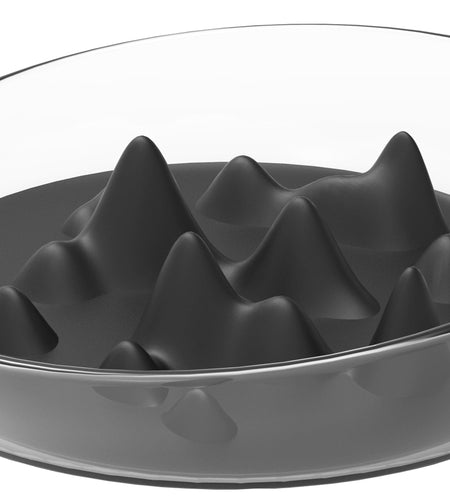 Pet Life ® 'Cirlicue' Mountain Shaped Modern Slow Feeding Pet Bowl
