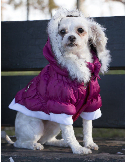 Load image into Gallery viewer, Pet Life ® Classic Metallic Fashion 3M Insulated Dog Coat Parka  w/ Removable Hood
