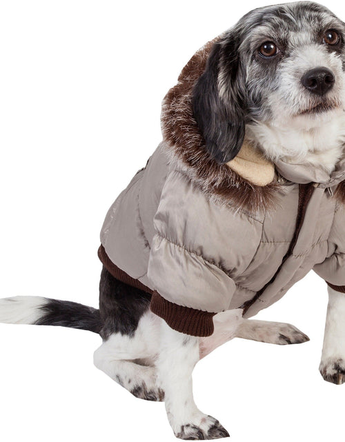 Load image into Gallery viewer, Pet Life ® Classic Metallic Fashion 3M Insulated Dog Coat Parka  w/ Removable Hood
