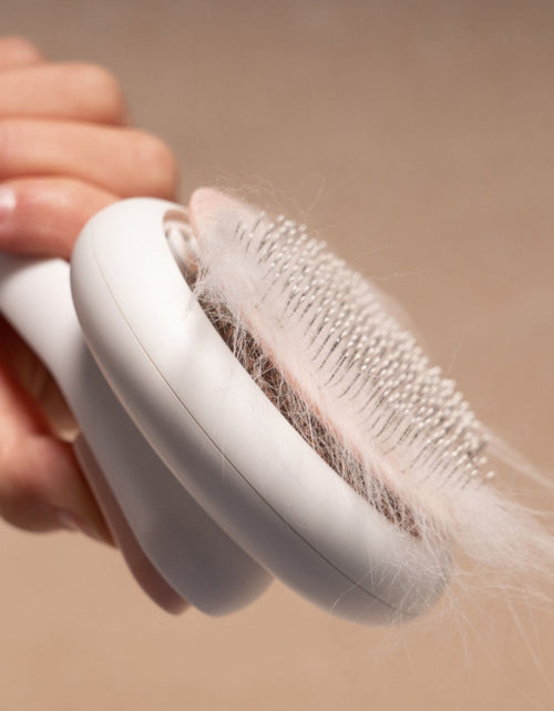 Load image into Gallery viewer, Pet Life ® 'Concepto' Modern Bristle Grooming Pet Deshedder Comb
