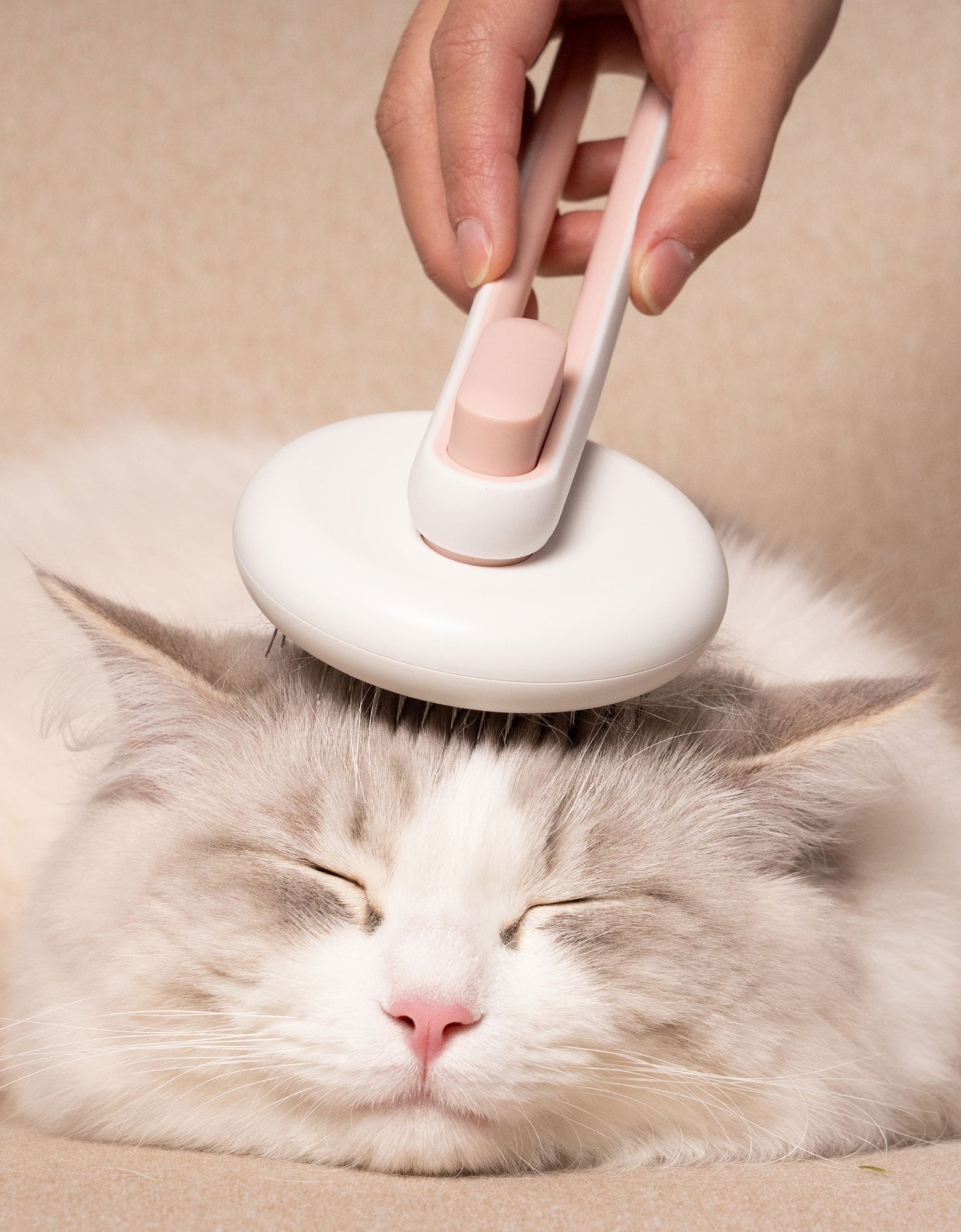 Pet Life ® 'Concepto' Modern Bristle Grooming Pet Deshedder Comb