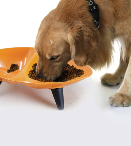 Pet Life ® 'Couture Sculptured' Dishwasher Safe Melamine Food and Water Double Pet Bowl