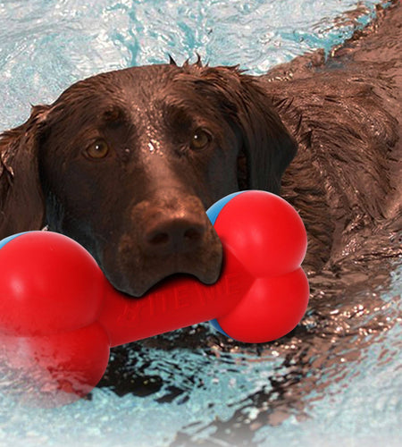 Pet Life ® 'Denta-Bone' TPR Durable Waterproof Floating Dog Toy