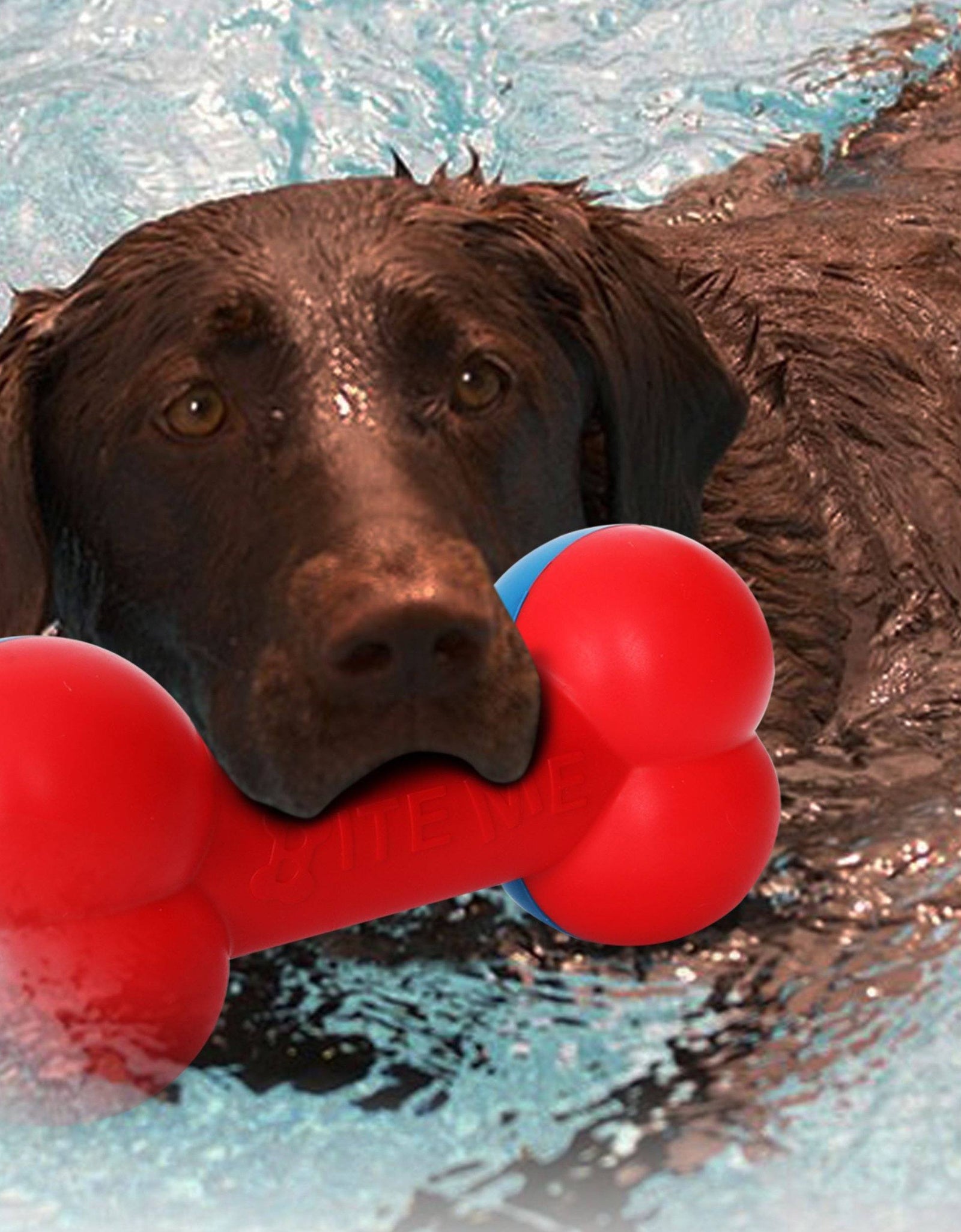 Pet Life ® 'Denta-Bone' TPR Durable Waterproof Floating Dog Toy