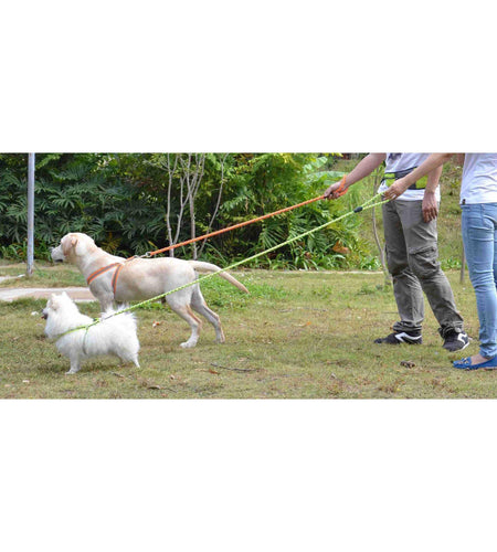 Pet Life ® 'Easy Tension' Reflective Stitched Adjustable 2-in-1 Pet Dog Leash and Harness