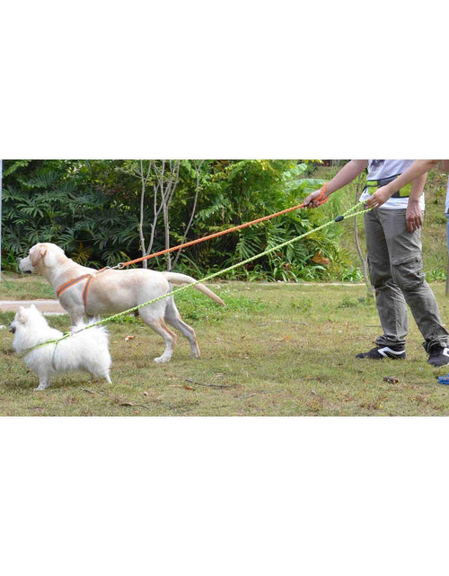 Load image into Gallery viewer, Pet Life ® 'Easy Tension' Reflective Stitched Adjustable 2-in-1 Pet Dog Leash and Harness
