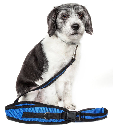 Pet Life ® 'Echelon' Hands Free and Convertible 2-In-1 Training Pet Dog Leash and Pet Belt Trainer