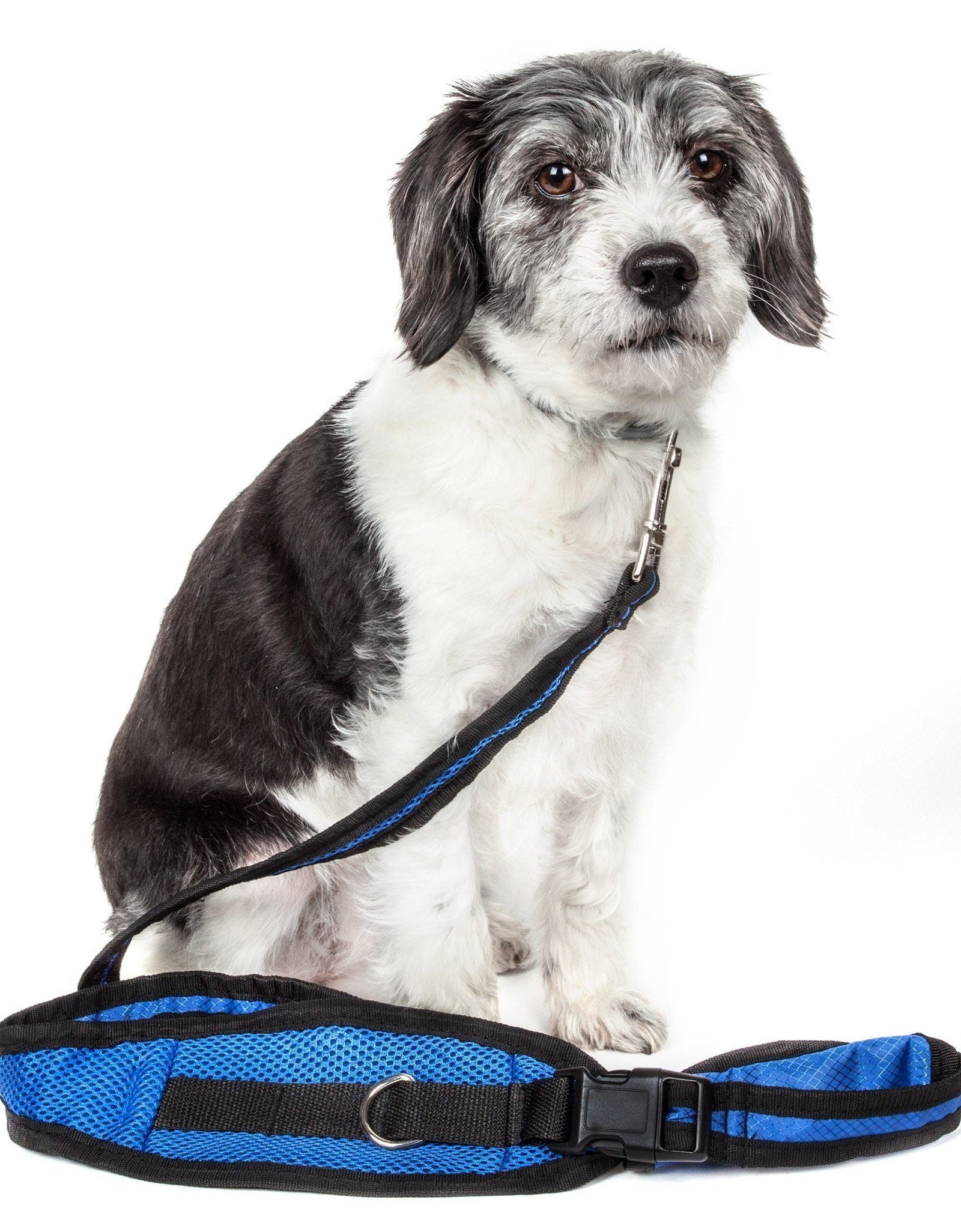 Pet Life ® 'Echelon' Hands Free and Convertible 2-In-1 Training Pet Dog Leash and Pet Belt Trainer