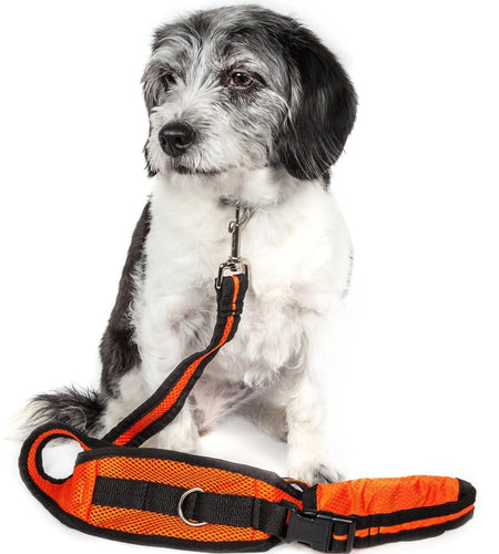 Pet Life ® 'Echelon' Hands Free and Convertible 2-In-1 Training Pet Dog Leash and Pet Belt Trainer