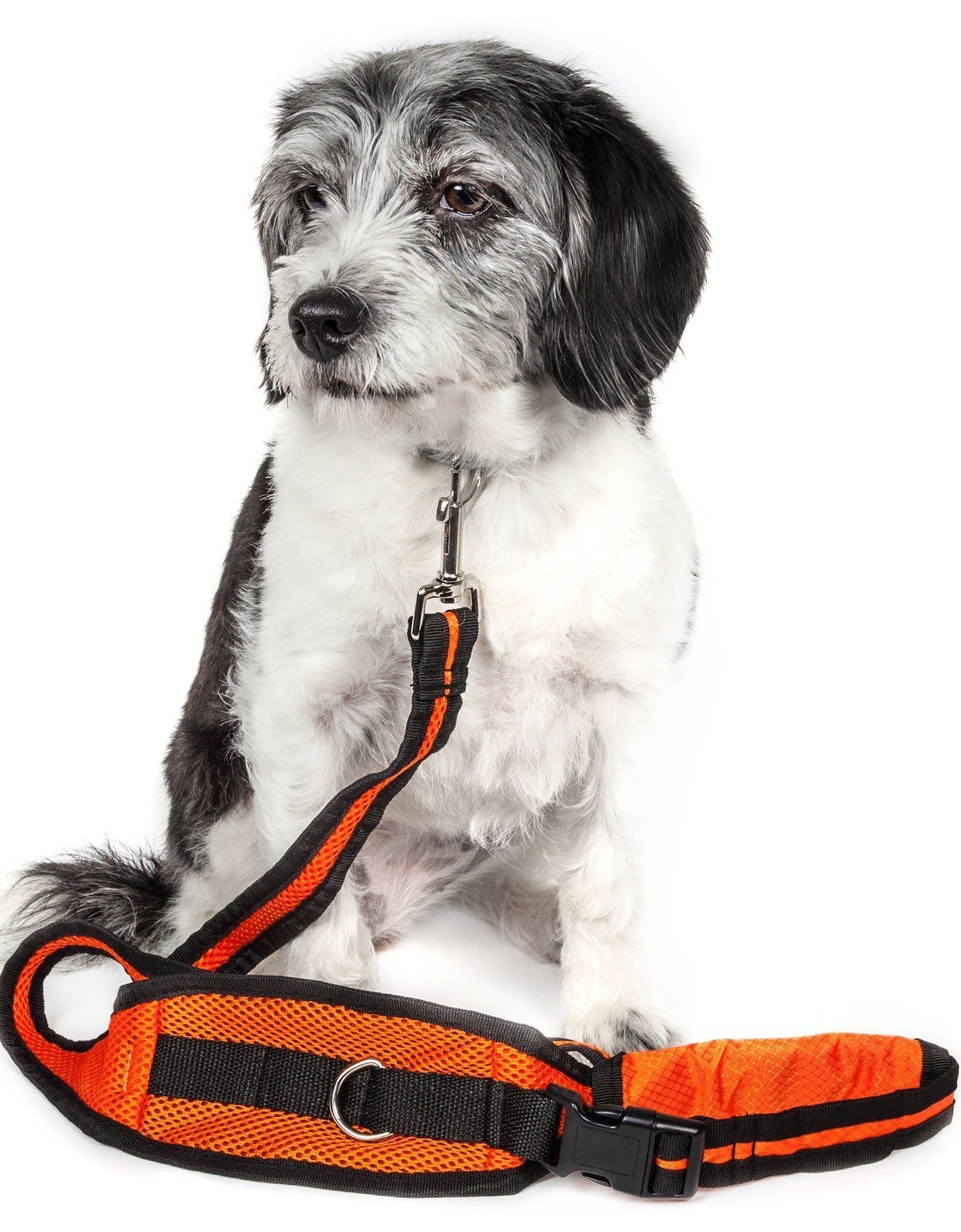 Pet Life ® 'Echelon' Hands Free and Convertible 2-In-1 Training Pet Dog Leash and Pet Belt Trainer