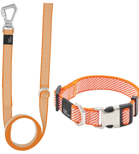 Pet Life ® 'Escapade' Outdoor Series 2-in-1 Convertible Dog Leash and Collar