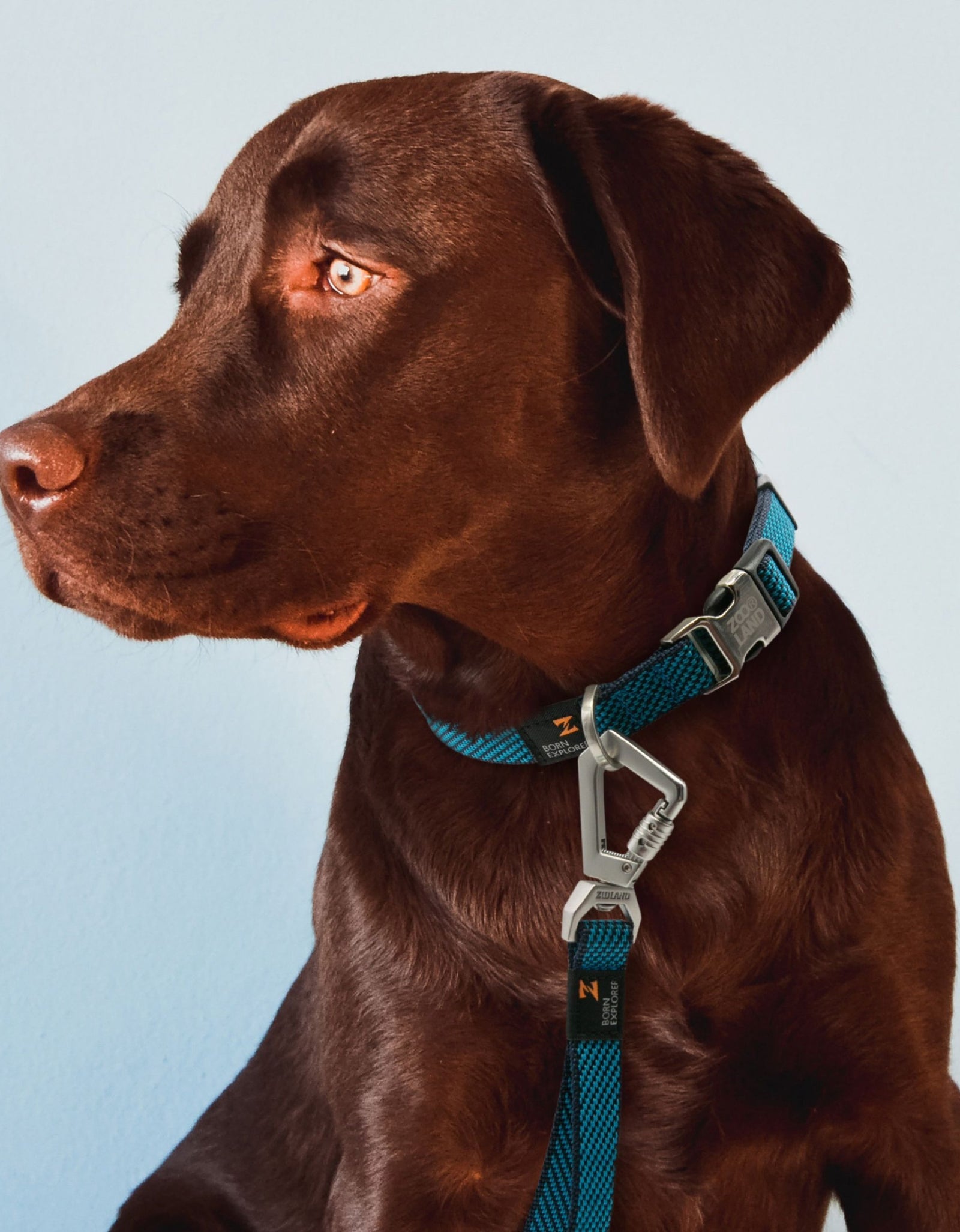 Pet Life ® 'Escapade' Outdoor Series 2-in-1 Convertible Dog Leash and Collar