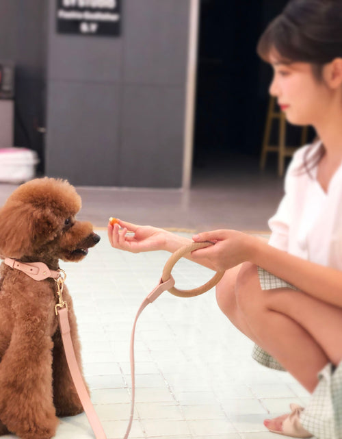 Load image into Gallery viewer, Pet Life ® 'Ever-Craft' Boutique Series Adjustable Designer Leather Dog Collar
