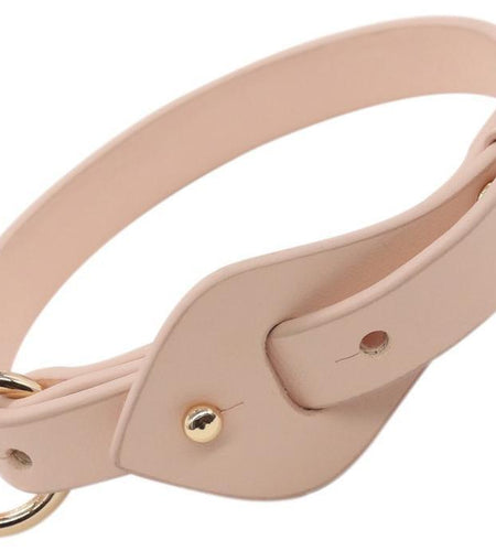 Pet Life ® 'Ever-Craft' Boutique Series Adjustable Designer Leather Dog Collar