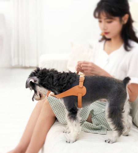 Pet Life ® 'Ever-Craft' Boutique Series Adjustable Designer Leather Dog Harness