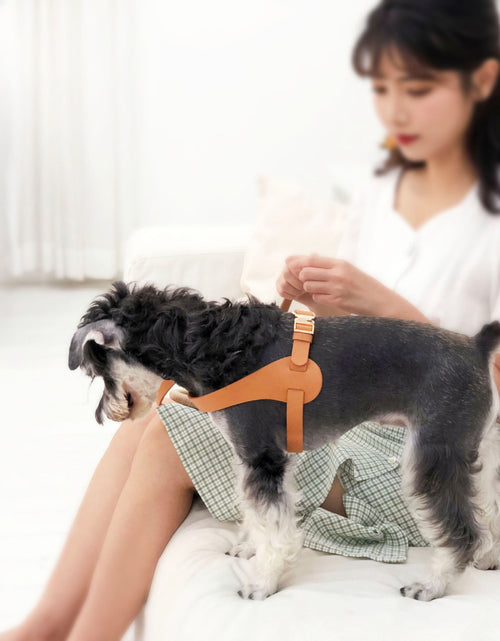 Load image into Gallery viewer, Pet Life ® 'Ever-Craft' Boutique Series Adjustable Designer Leather Dog Harness
