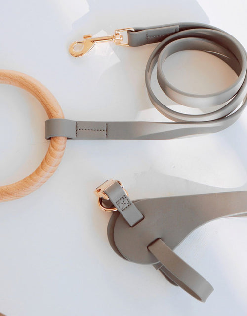 Load image into Gallery viewer, Pet Life ® 'Ever-Craft' Boutique Series Beechwood and Leather Designer Dog Leash

