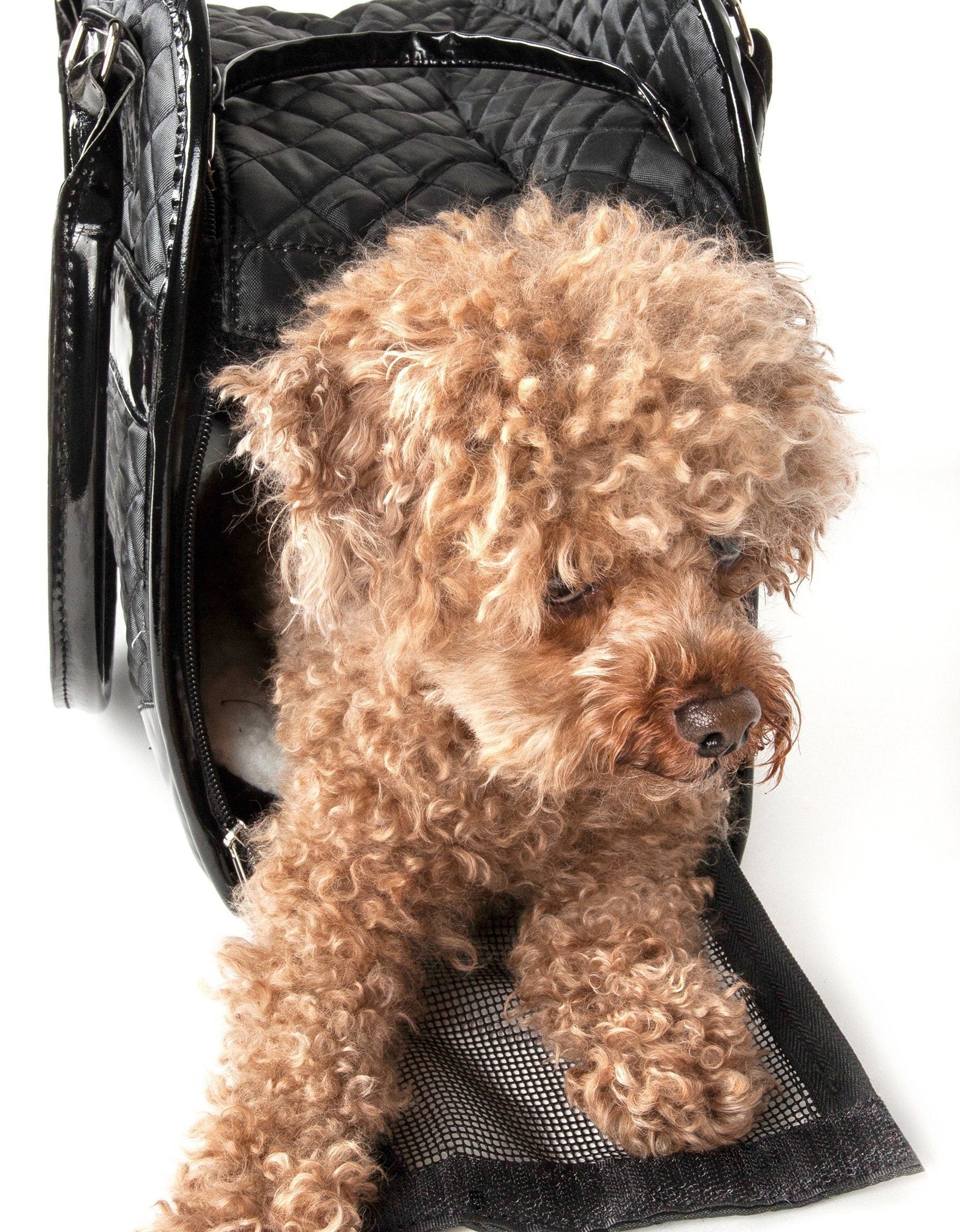 Pet Life ® Exquisite Airline Approved Designer Travel Pet Dog Handbag Carrier