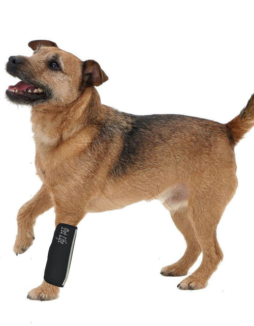 Load image into Gallery viewer, Pet Life ® 'Extreme-Neoprene' Joint Protective Safety Recovery and Reflective Pet Dog Sleeves - Set of 4
