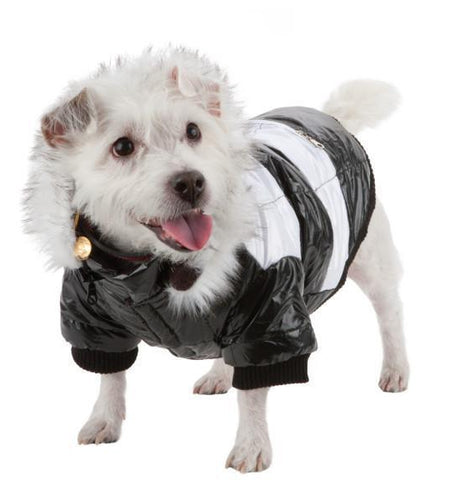 Pet Life ® Fashion Striped 3M Insulated Ultra-Plush Pet Dog Parka Coat w/ Removable Hood