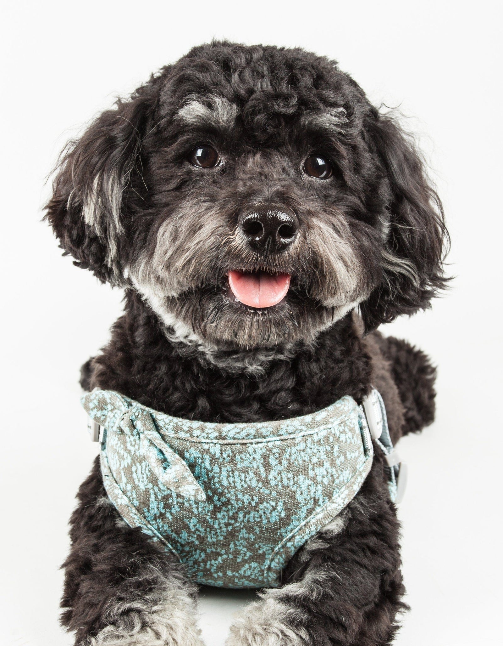 Pet Life ®  'Fidomite' Mesh Reversed  and Adjustable Fashion Dog Harness W/ Designer Bowtie