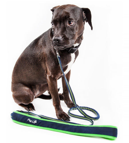Pet Life ®  'Free-Fetcher' Hands Free Over-The-Shoulder Shock Absorbent Dog Leash