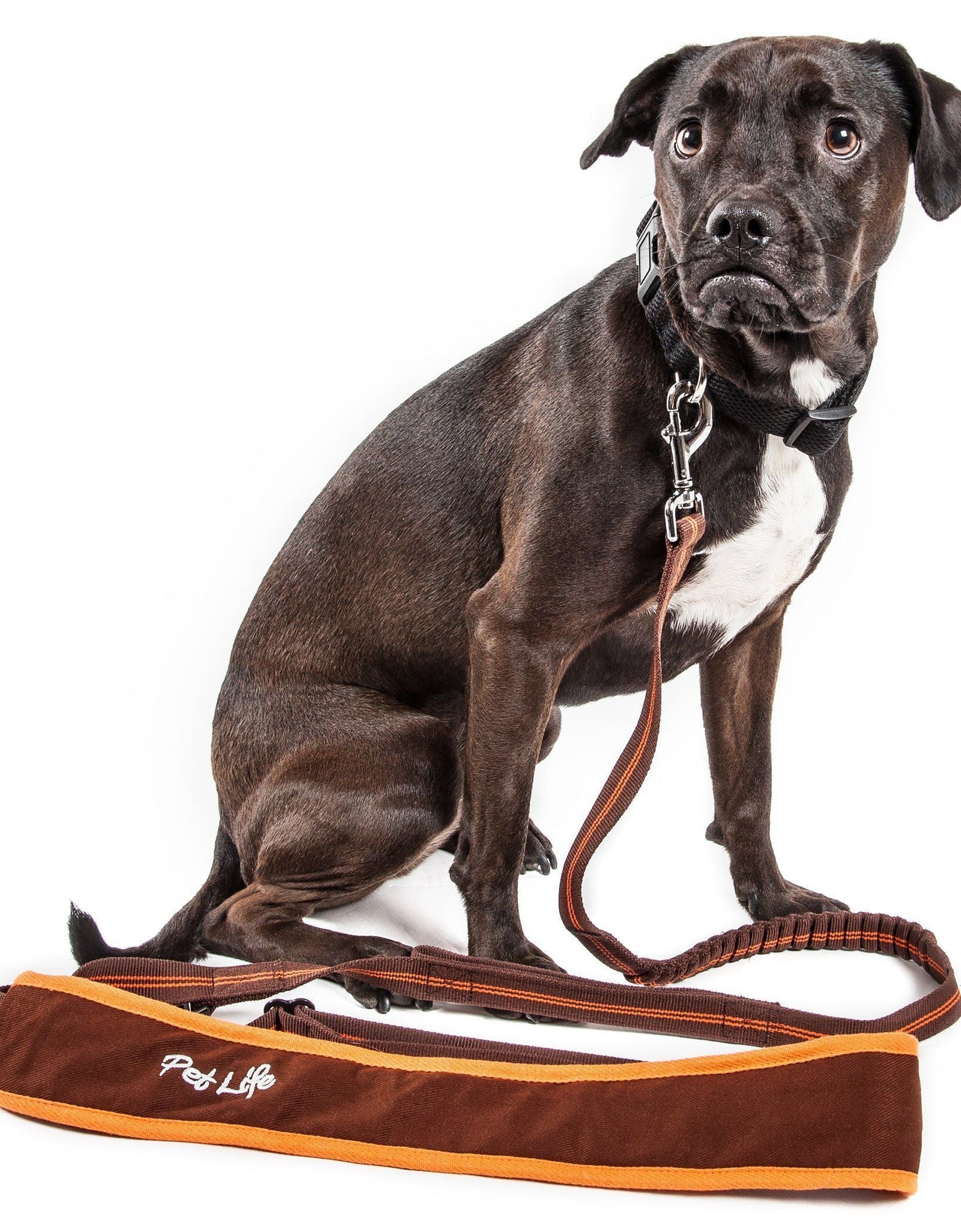 Pet Life ®  'Free-Fetcher' Hands Free Over-The-Shoulder Shock Absorbent Dog Leash