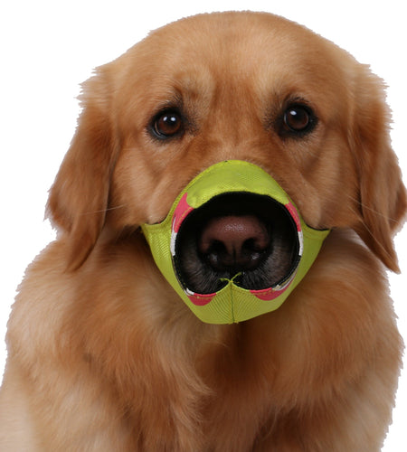 Pet Life ® 'Funimation' Animated Nylon Mesh Protective Travel Anti-Bark Dog Muzzle