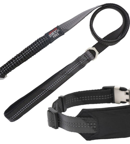 Pet Life ® 'Geo-prene' 2-in-1 Shock Absorbing Neoprene Padded Reflective Dog Leash and Collar