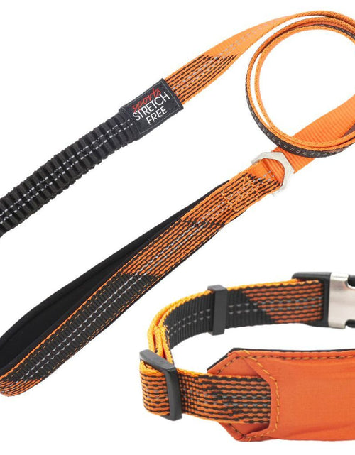 Load image into Gallery viewer, Pet Life ® 'Geo-prene' 2-in-1 Shock Absorbing Neoprene Padded Reflective Dog Leash and Collar
