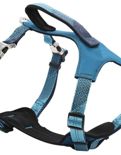 Load image into Gallery viewer, Pet Life ® 'Geo-prene' 2-in-1 Shock Absorbing Neoprene Padded Reflective Dog Leash and Harness
