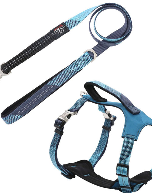 Load image into Gallery viewer, Pet Life ® 'Geo-prene' 2-in-1 Shock Absorbing Neoprene Padded Reflective Dog Leash and Harness
