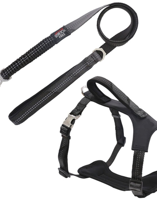 Load image into Gallery viewer, Pet Life ® 'Geo-prene' 2-in-1 Shock Absorbing Neoprene Padded Reflective Dog Leash and Harness

