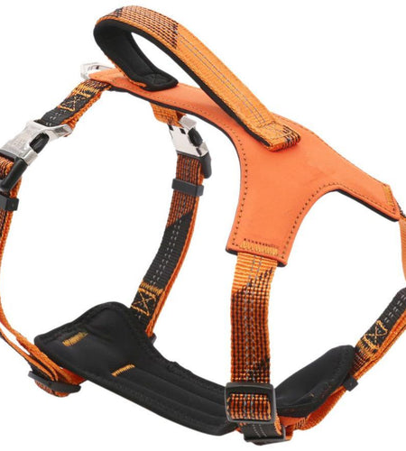Pet Life ® 'Geo-prene' 2-in-1 Shock Absorbing Neoprene Padded Reflective Dog Leash and Harness