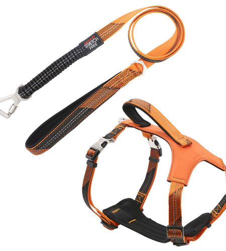 Pet Life ® 'Geo-prene' 2-in-1 Shock Absorbing Neoprene Padded Reflective Dog Leash and Harness