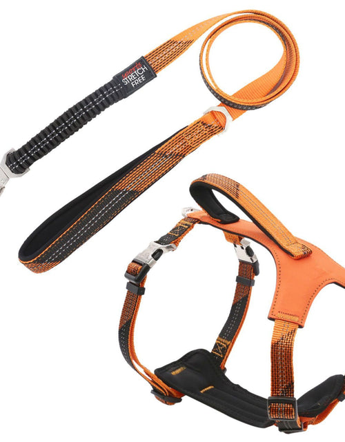 Load image into Gallery viewer, Pet Life ® 'Geo-prene' 2-in-1 Shock Absorbing Neoprene Padded Reflective Dog Leash and Harness
