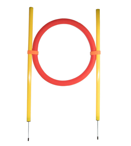 Pet Life ® 'Hoop Hopper' Collapsible Travel Folding Outdoor Performance Agility Pet Dog Trainer Training Kit