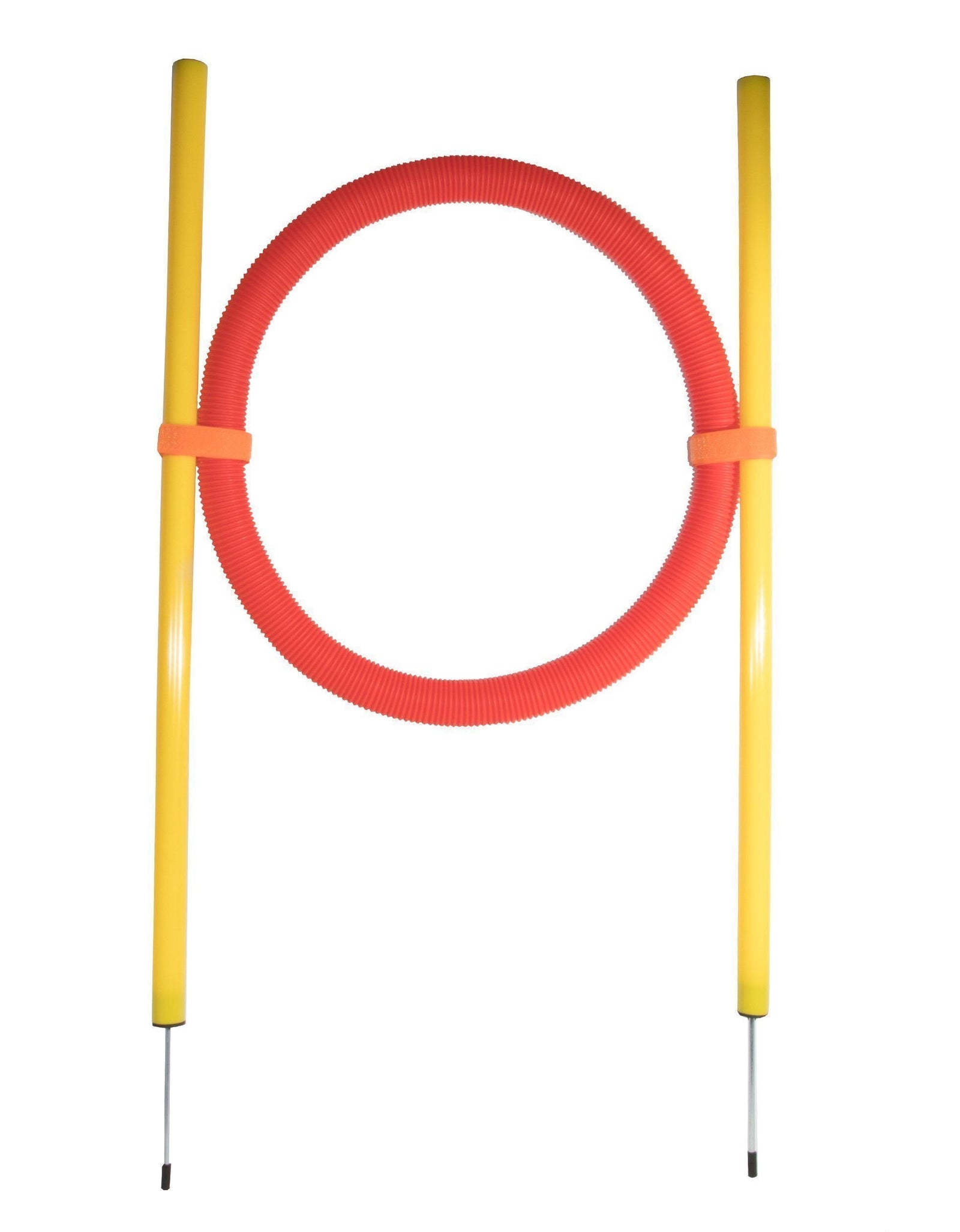 Pet Life ® 'Hoop Hopper' Collapsible Travel Folding Outdoor Performance Agility Pet Dog Trainer Training Kit