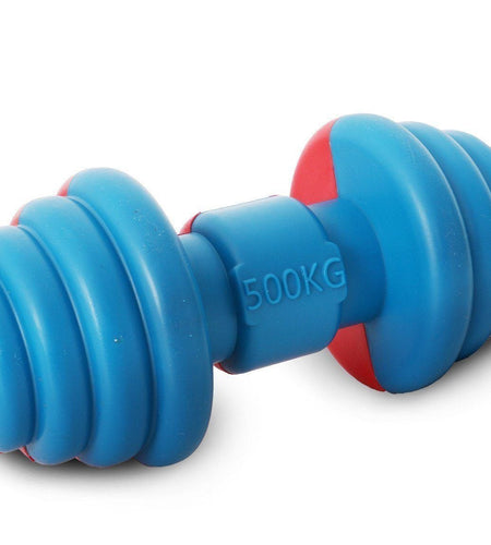 Pet Life ® 'Iron Wag' Durable Chew and Fetch TPR Waterproof Floating Dog Toy