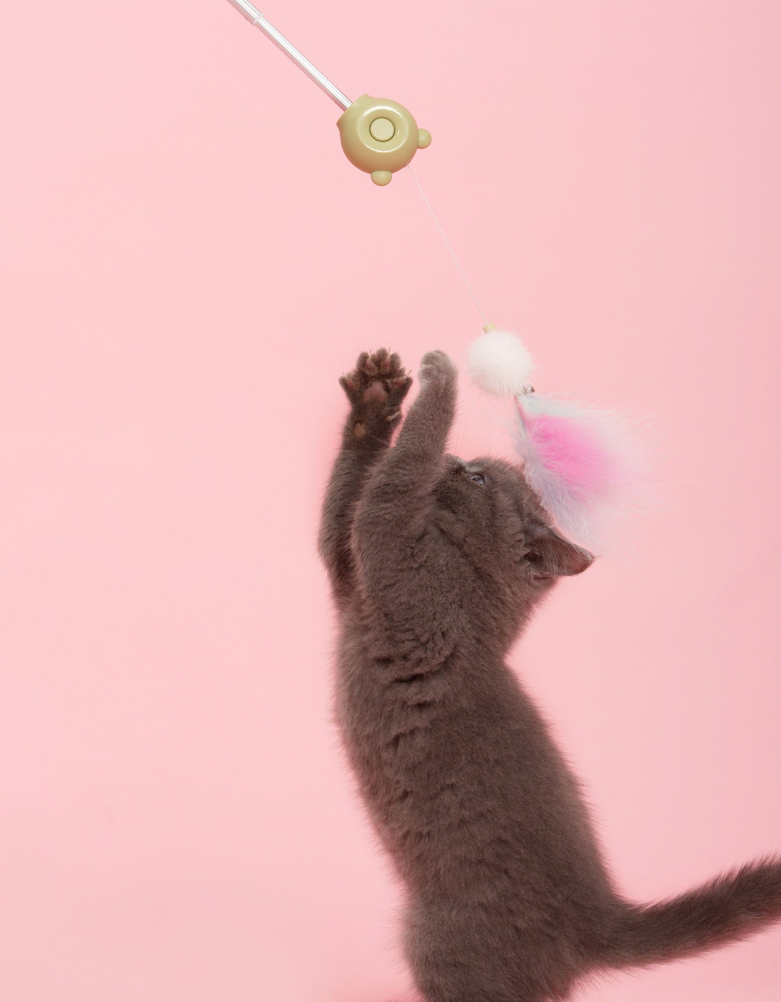Pet Life ® 'KITIQUE" 3-in-1 Retractable and Extendable Feathered and Laser Wand Kitty Cat Teaser