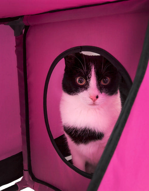 Load image into Gallery viewer, Pet Life ® 'Kitty-Play' Collapsible Travel Interactive Kitty Cat Tree Maze House Lounger Tunnel Lounge
