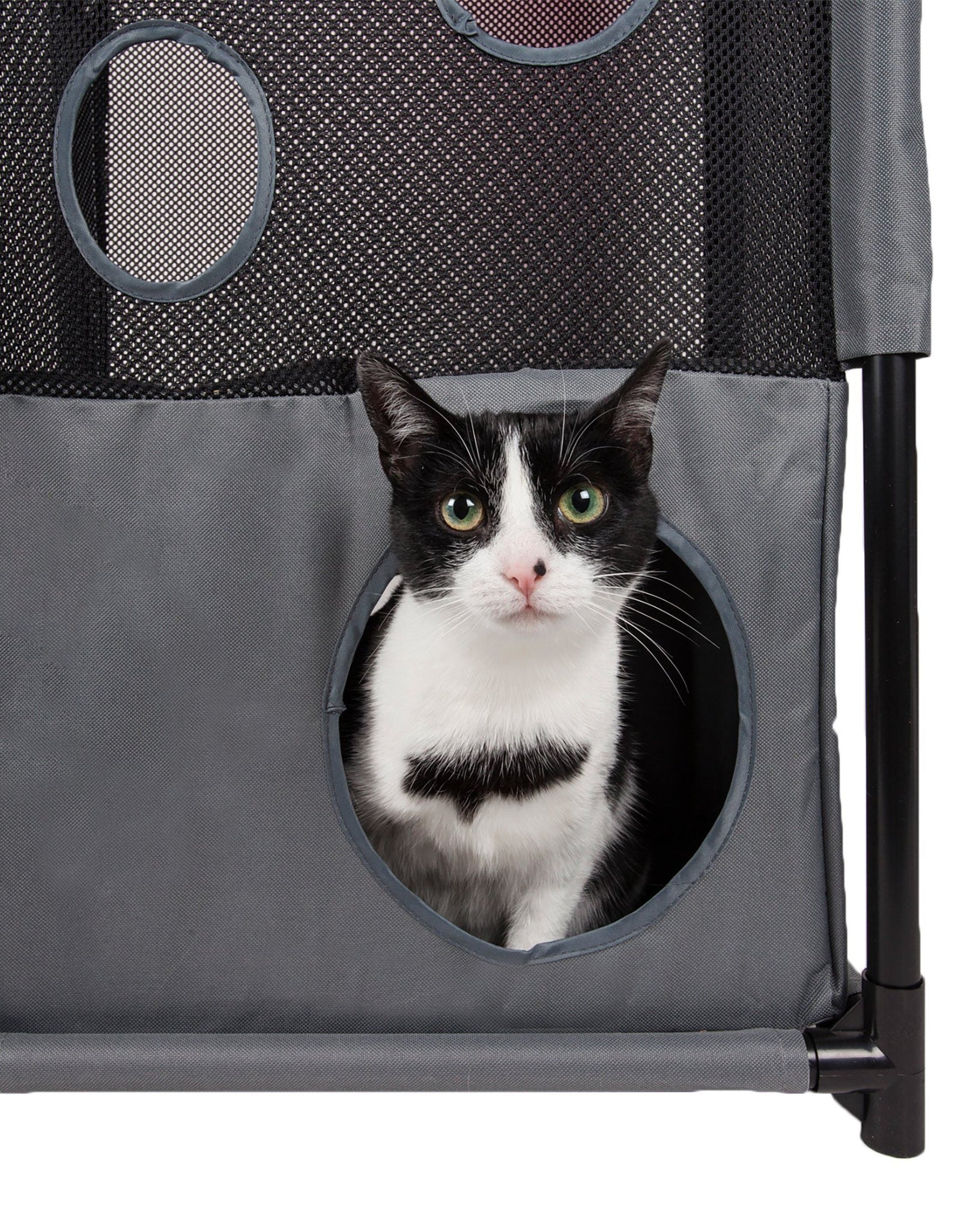Pet Life ® 'Kitty-Square' Collapsible Travel Interactive Kitty Cat Tree Maze House Lounger Tunnel Lounge