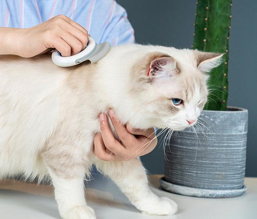 Load image into Gallery viewer, Pet Life ® 'Knuckler' Handheld Travel Flexible Grooming Pet Rake Comb
