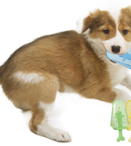 Pet Life ® 'Lick & Gnaw' Cooling Ices Cone Freezable and Chewable Tossing Waterproof Floating Pet Dog Toy