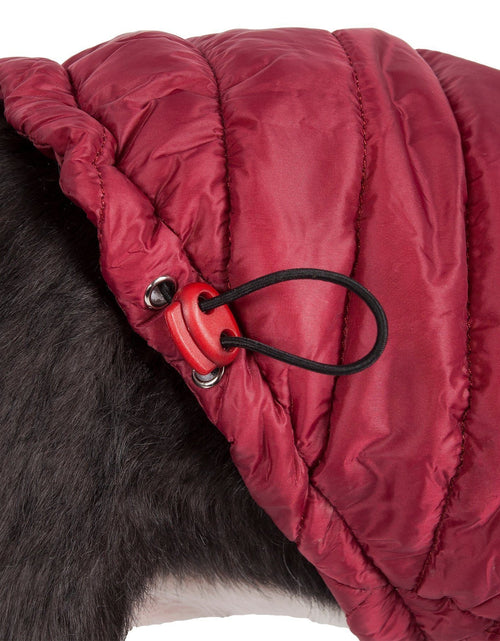 Load image into Gallery viewer, Pet Life ® Lightweight Adjustable and Collapsible 'Sporty Avalanche' Dog Coat w/ Pop-out Zippered Hood
