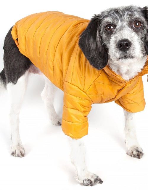 Load image into Gallery viewer, Pet Life ® Lightweight Adjustable and Collapsible 'Sporty Avalanche' Dog Coat w/ Pop-out Zippered Hood
